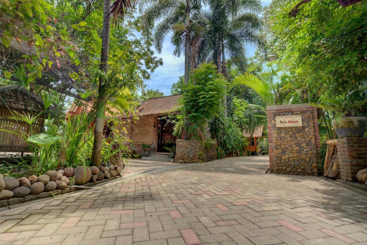 Bata Merah Homestay Banyuwangi  Exterior foto