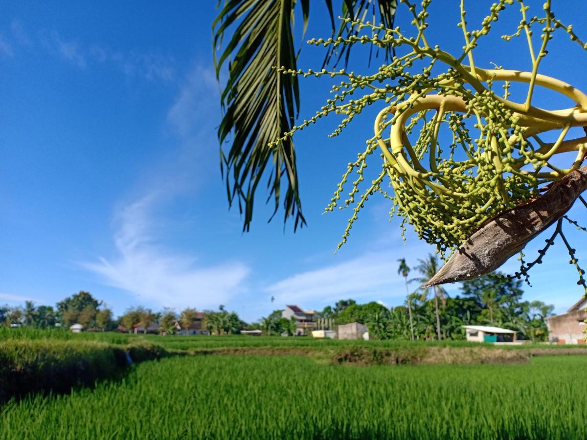 Bata Merah Homestay Banyuwangi  Exterior foto
